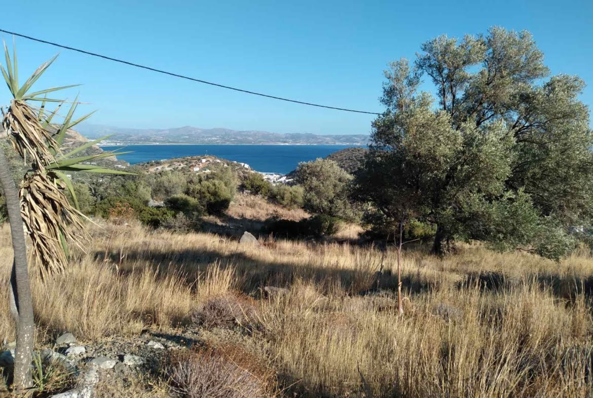 12.000 sq.m. field in Lenikos Harakas.