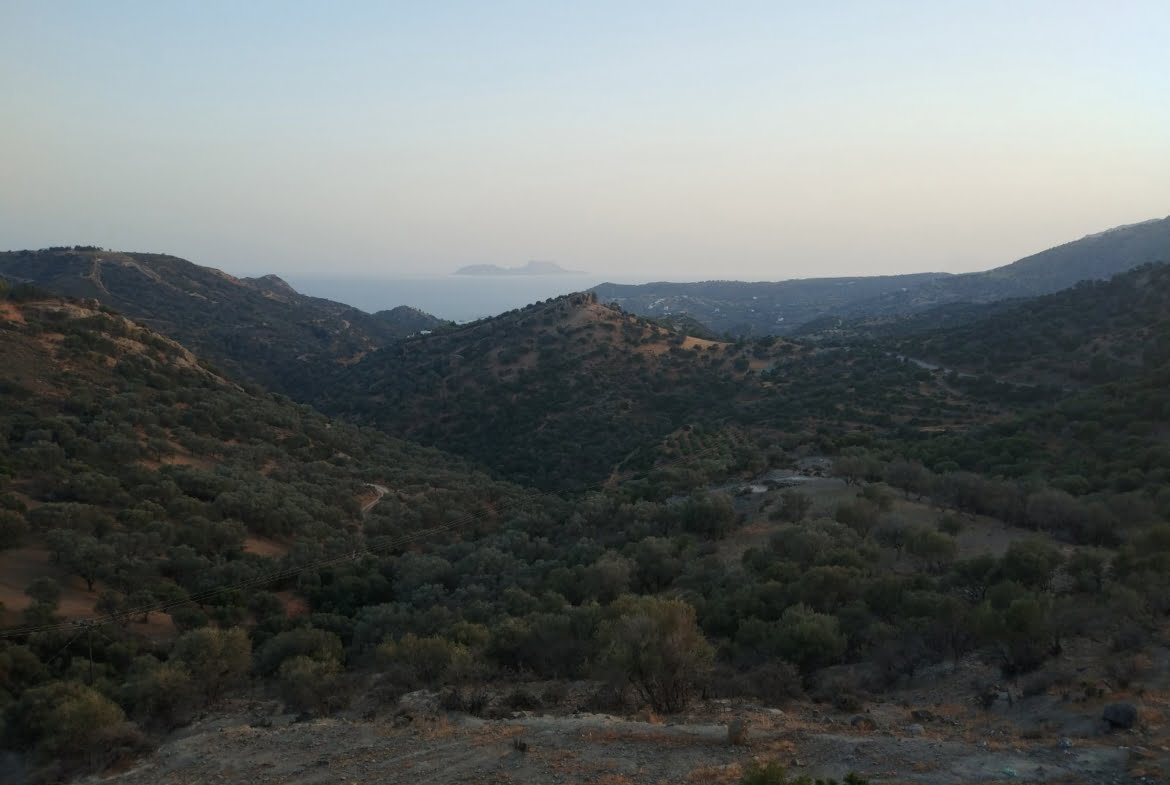 Field for sale in Agia Galini.