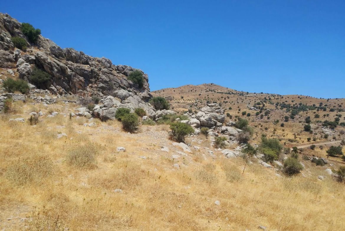 Large Plot near Agios Pavlos