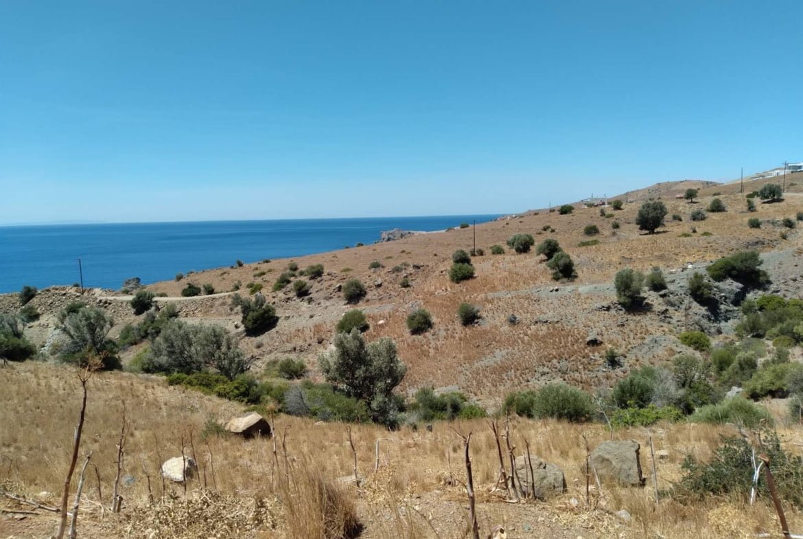 Plot overlooking the libyan sea.
