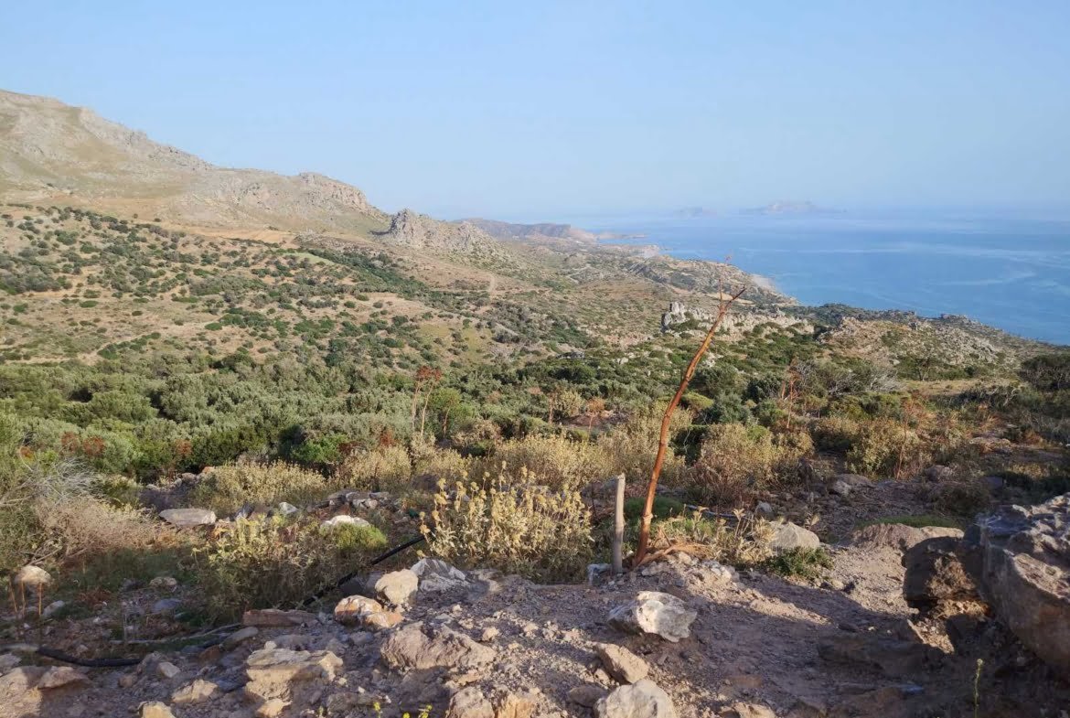 Large plot in Kerame.