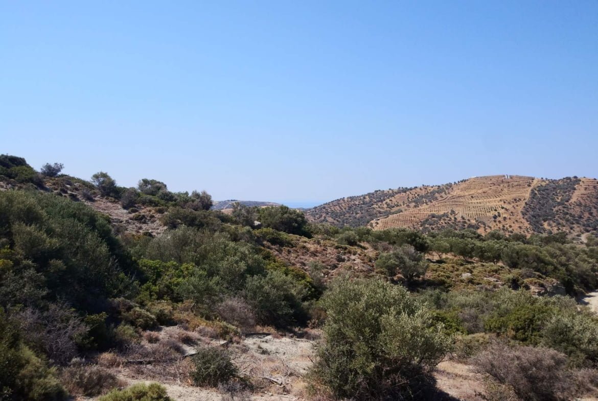 Large plot of 70.000 sq.m. with building in the area of Agia Galini