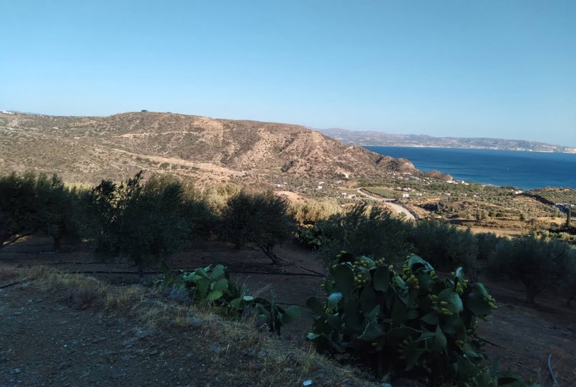 10.000 sq.m.plot for sale.