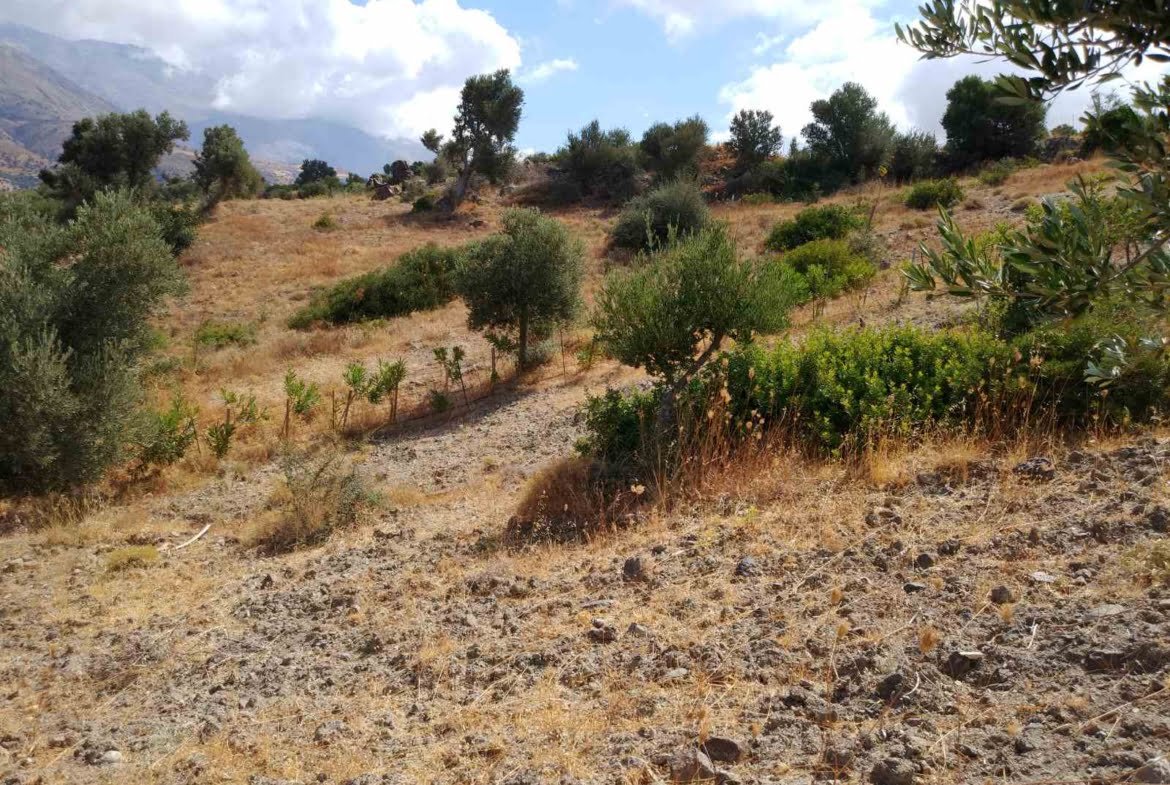 Land of 5.000 sq.m. in Agios Pavlos.