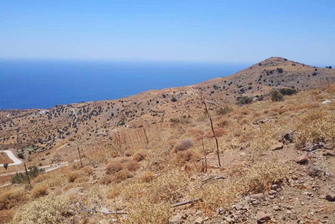 Large Plot near Agios Pavlos