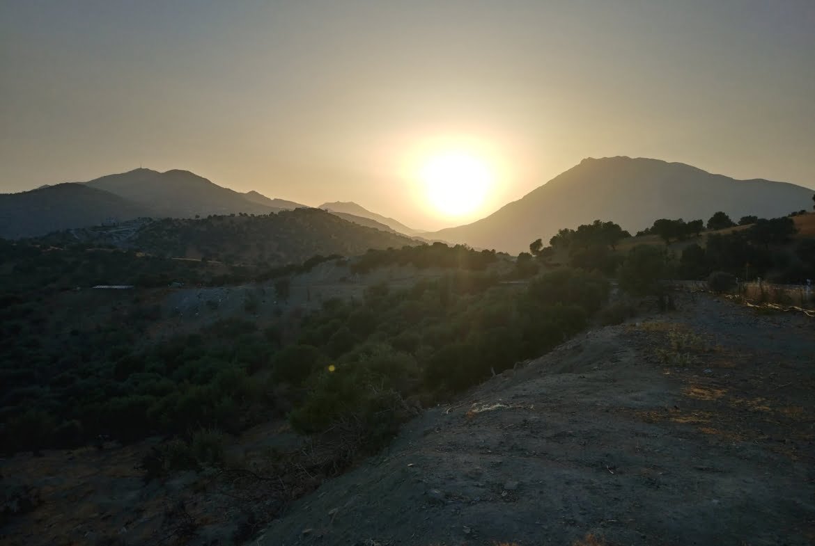 Field for sale in Agia Galini.
