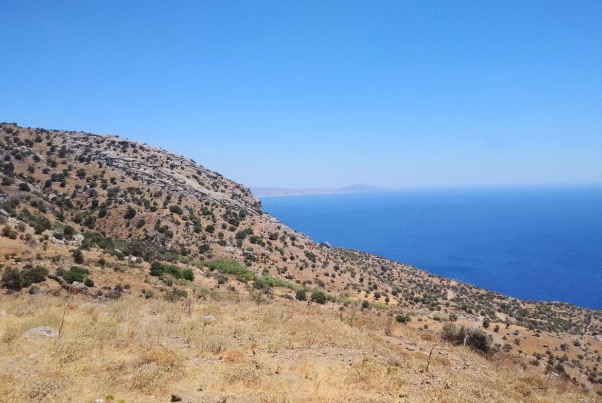 Large Plot near Agios Pavlos