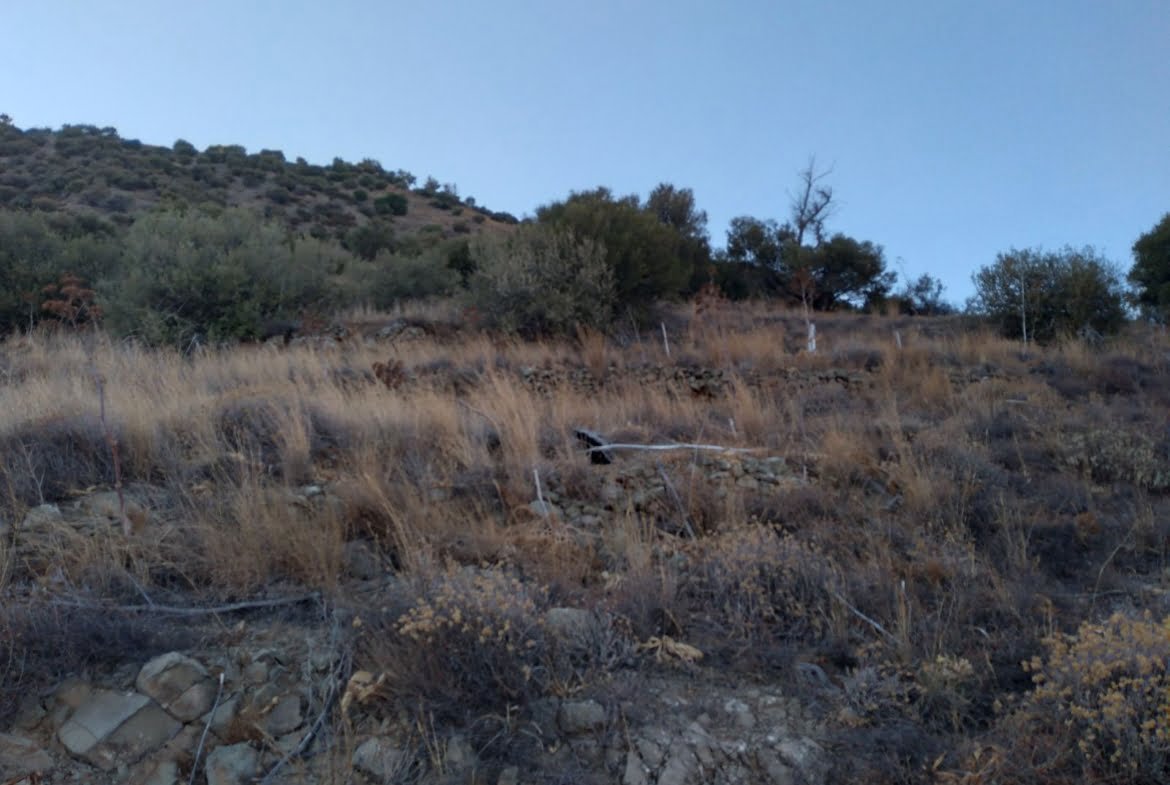 10.000 sq.m.plot for sale.