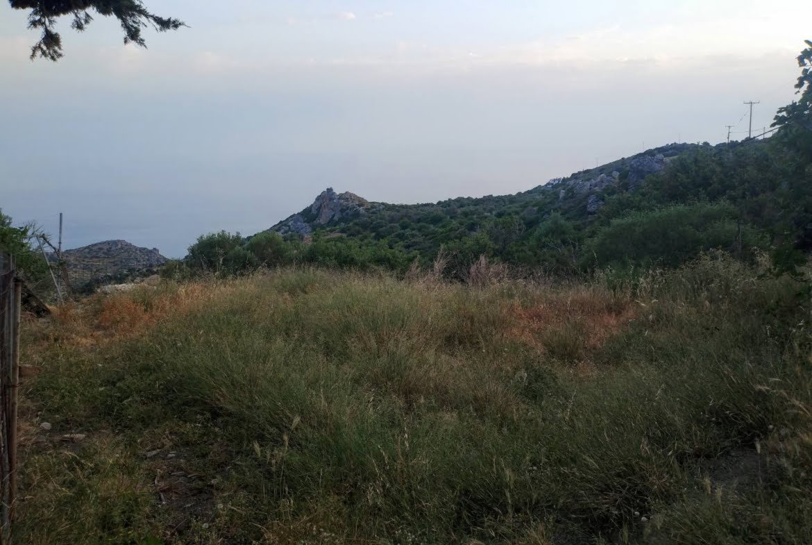 Plot within the settlement of Agalianos.