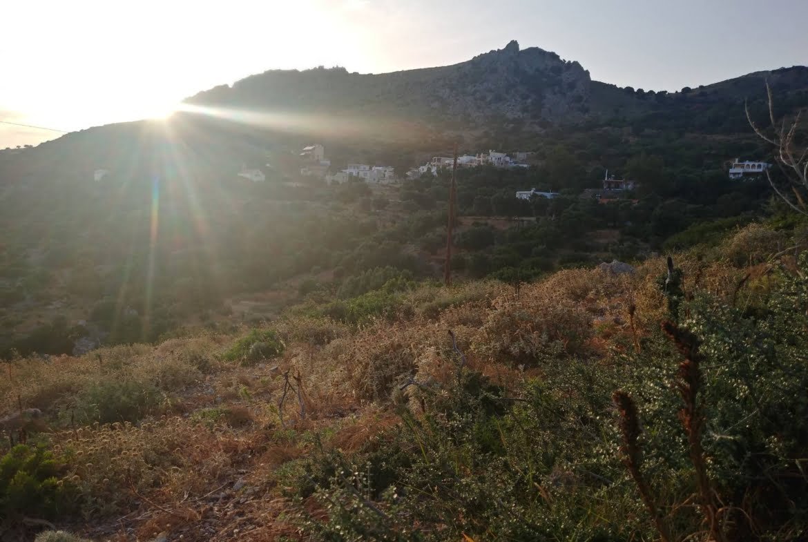 Field in the area of Agalianos.