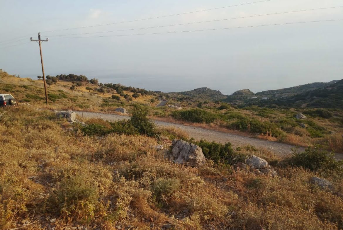 Field in the area of Agalianos.