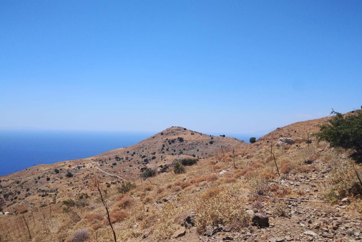 Large Plot near Agios Pavlos