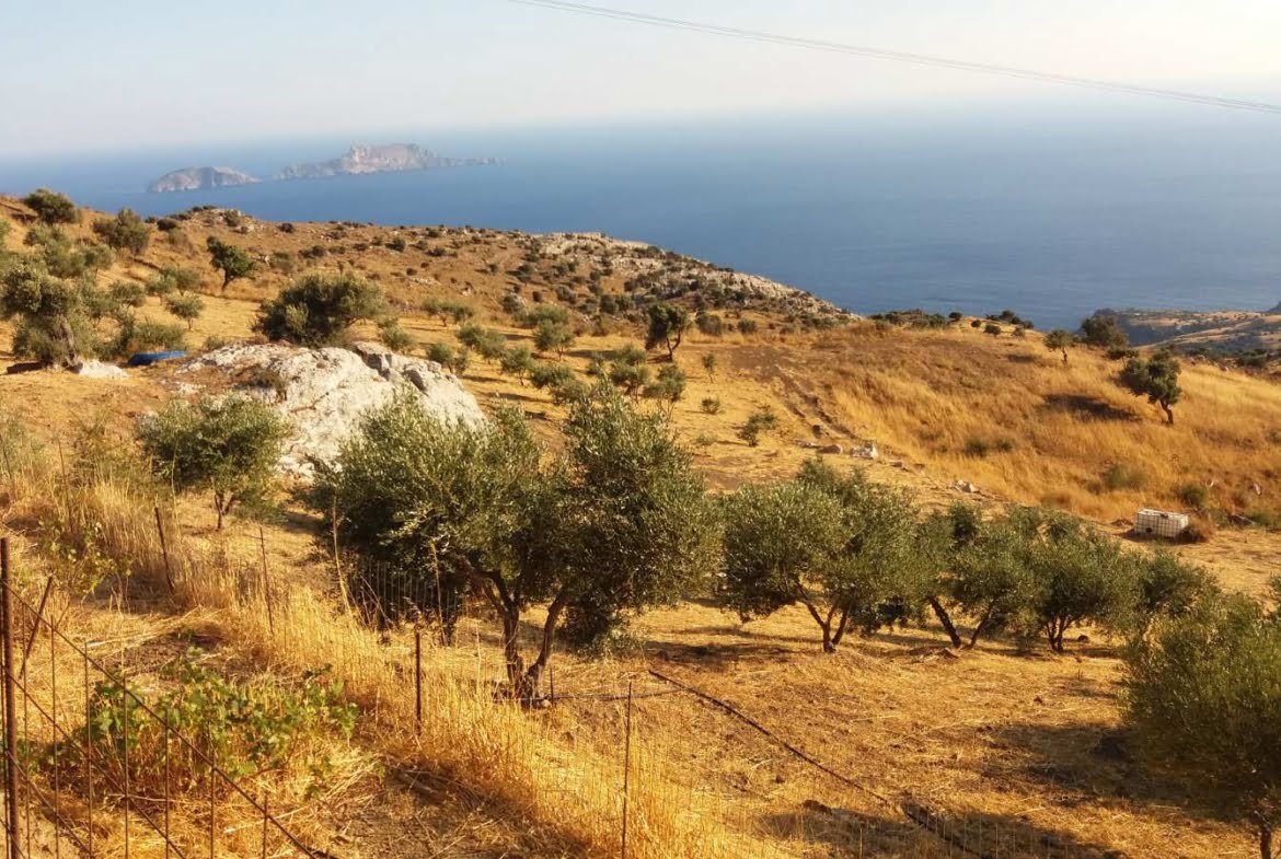 Field with a panoramic view in Sactouria.