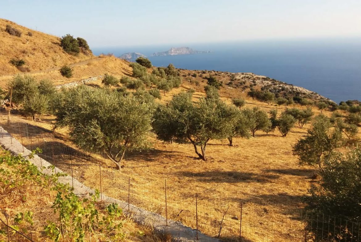 Field with a panoramic view in Sactouria.