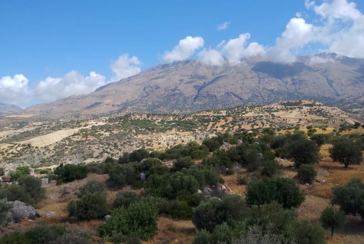 Land of 5.000 sq.m. in Agios Pavlos.
