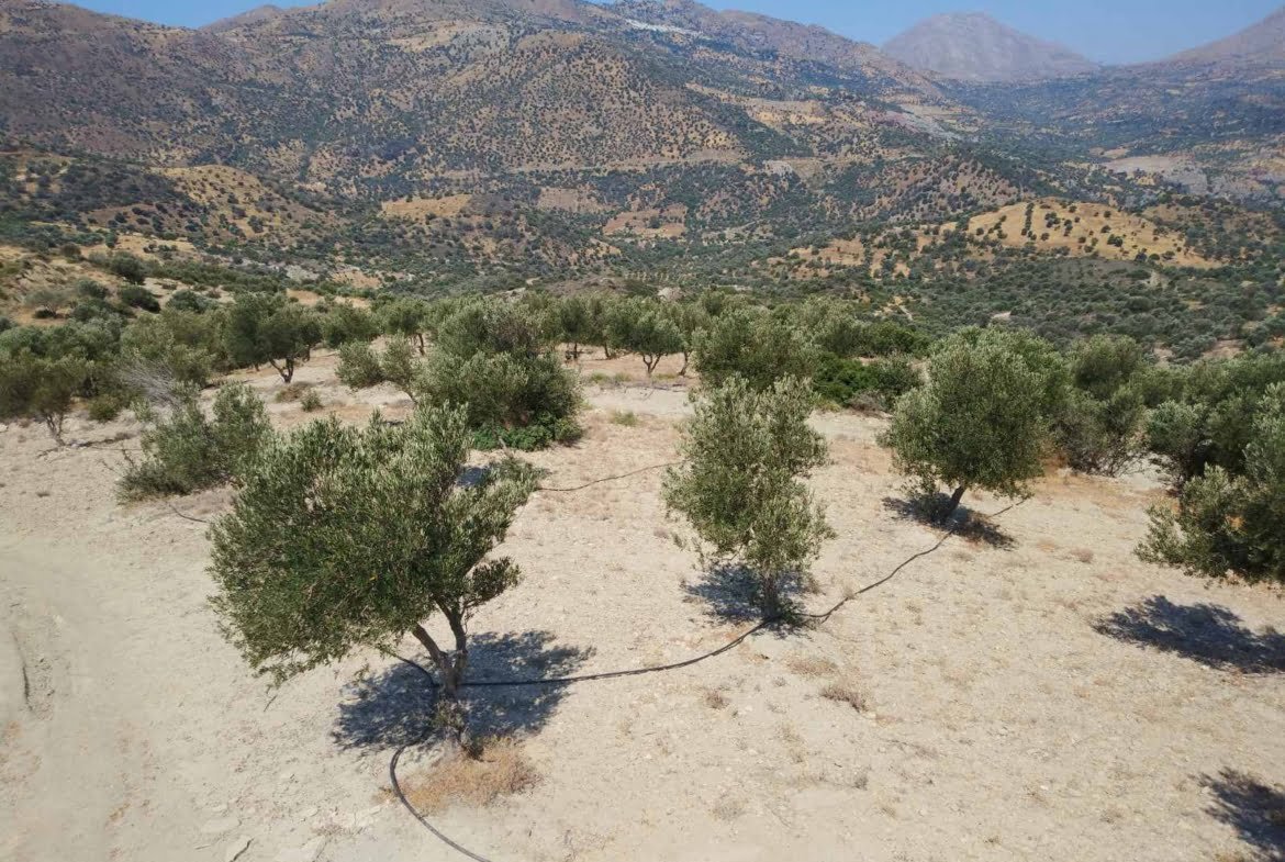 Large plot of 70.000 sq.m. with building in the area of Agia Galini