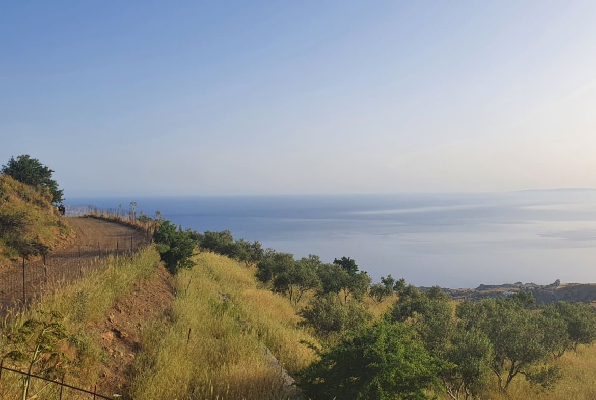 Field with a panoramic view in Sactouria.