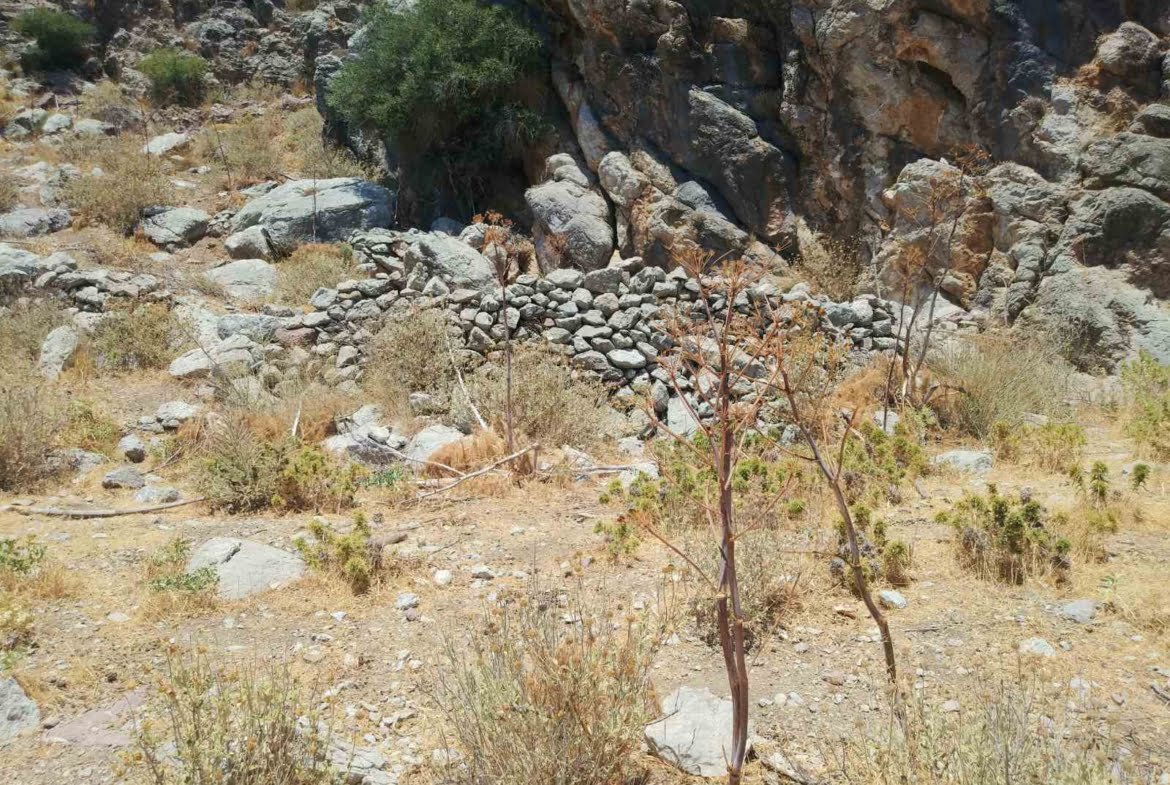 Large Plot near Agios Pavlos