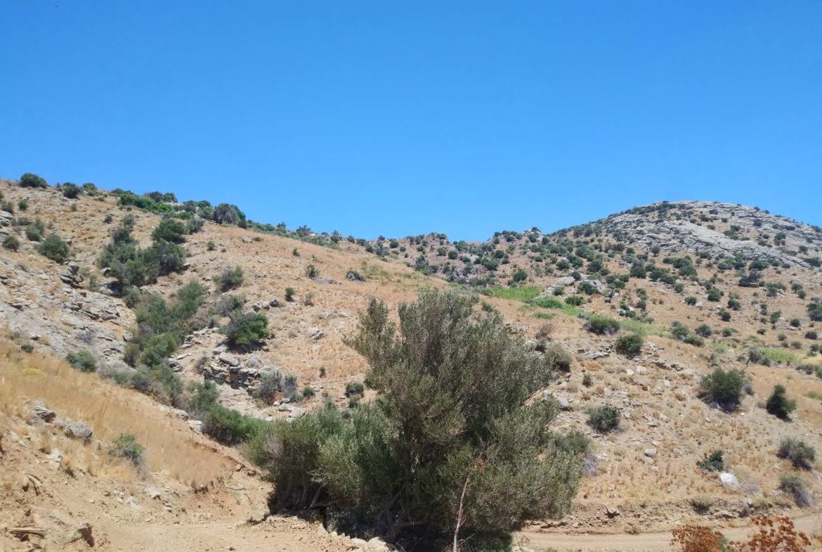 Land plot for sale