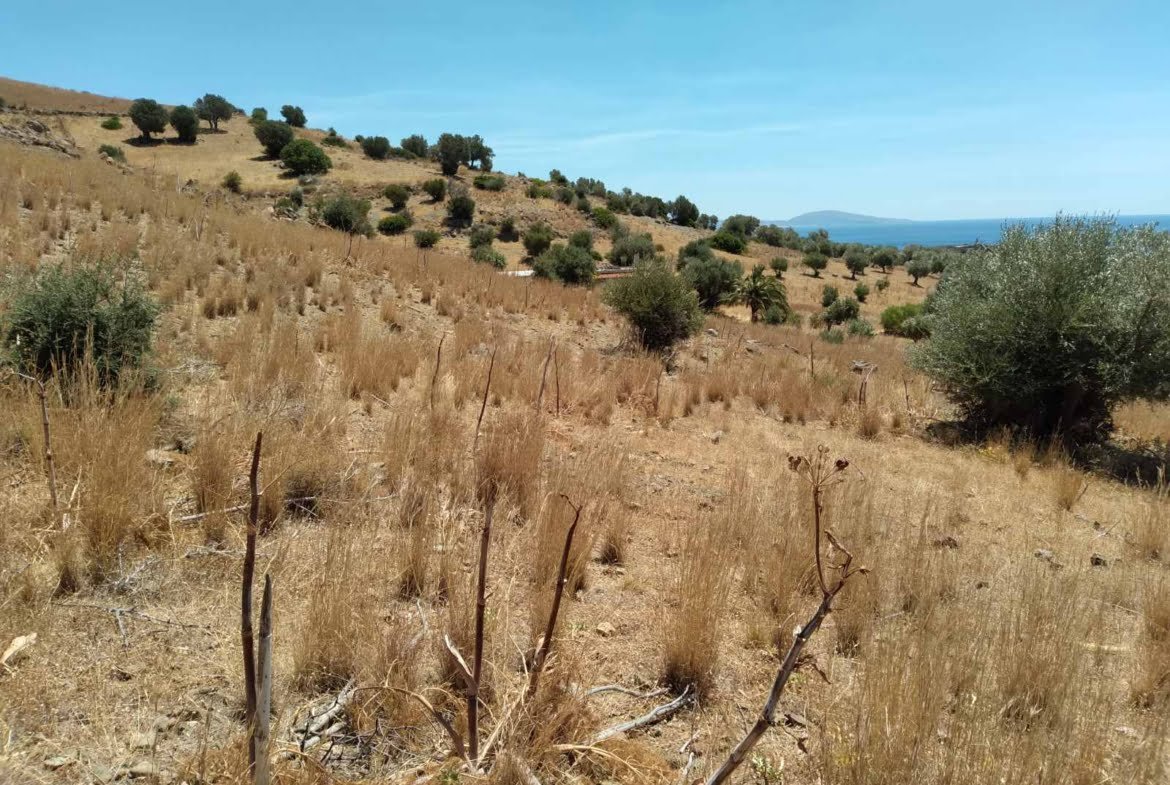 Sea view plot in Agios Pavlos.