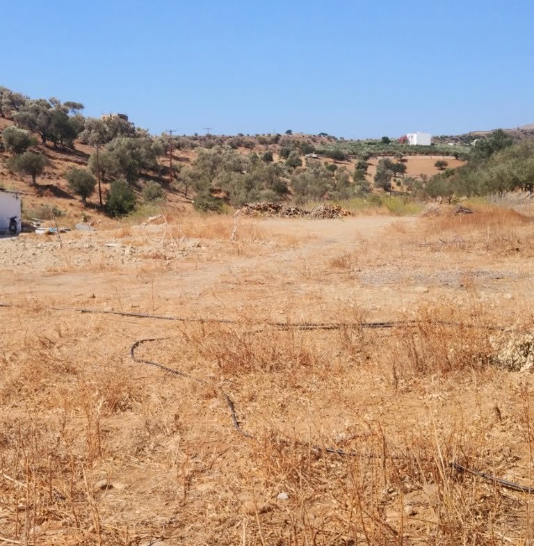 Plot of 4.000 sq.m. in Agia Galini.
