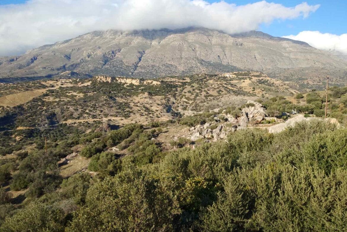 Plot of 3.600 sq.m. in the area of Agios Pavlos.
