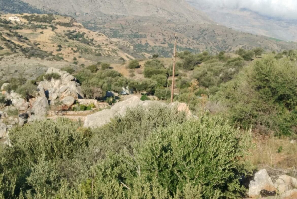 Plot of 3.600 sq.m. in the area of Agios Pavlos.