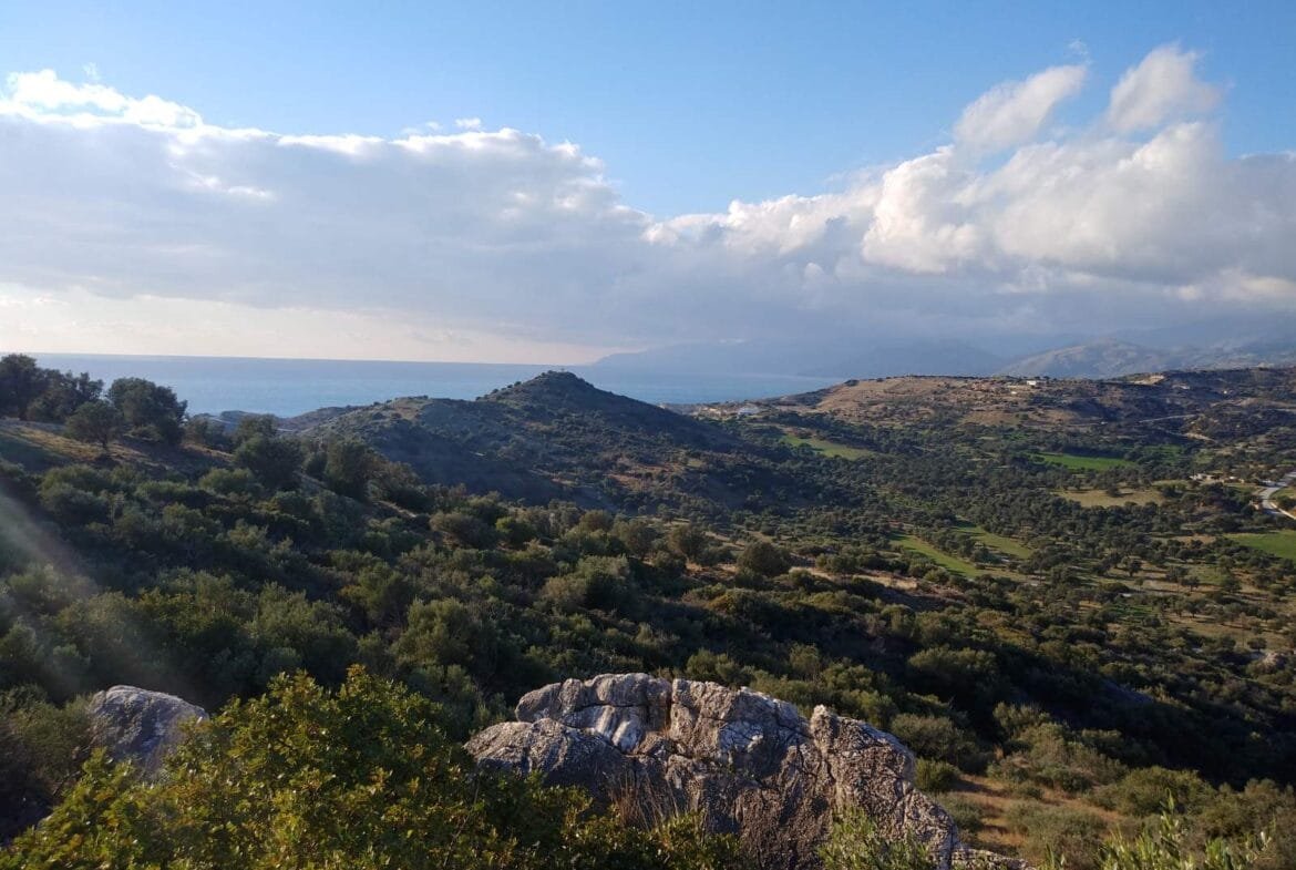 Plot of 3.600 sq.m. in the area of Agios Pavlos.