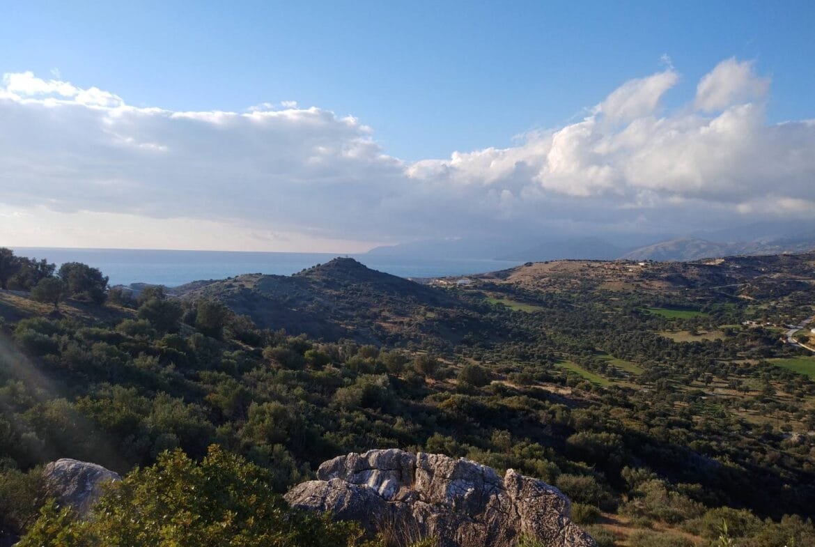 Plot of 3.600 sq.m. in the area of Agios Pavlos.