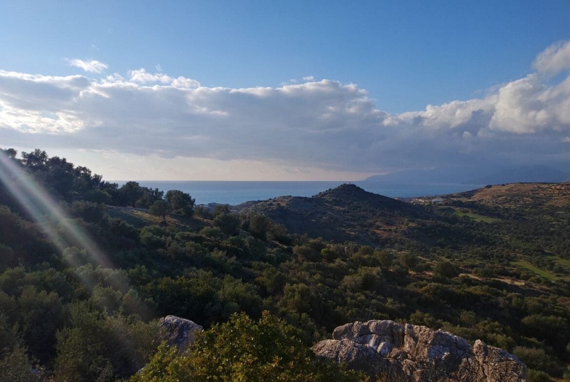Plot of 3.600 sq.m. in the area of Agios Pavlos.