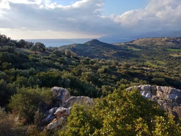 Plot of 3.600 sq.m. in the area of Agios Pavlos.