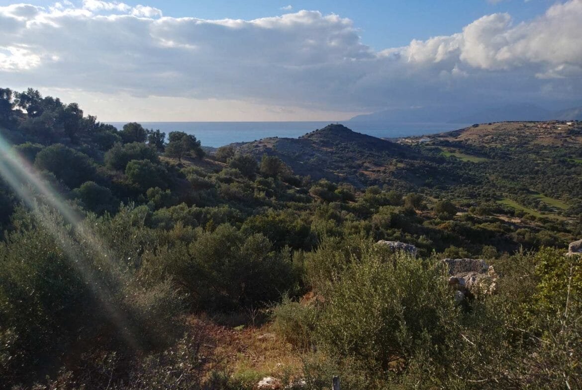 Plot of 3.600 sq.m. in the area of Agios Pavlos.