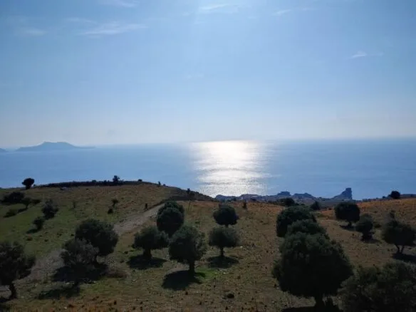 Buildable plot of 8.000 sq.m. in Agios Pavlos.