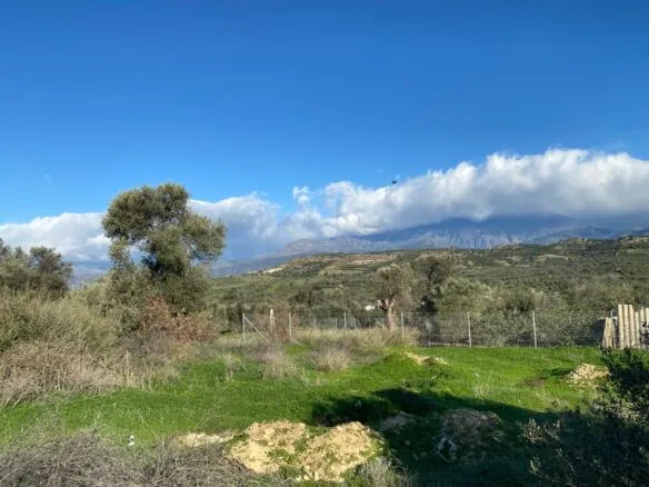 Plot of 1.000 sqm in Kamilari.