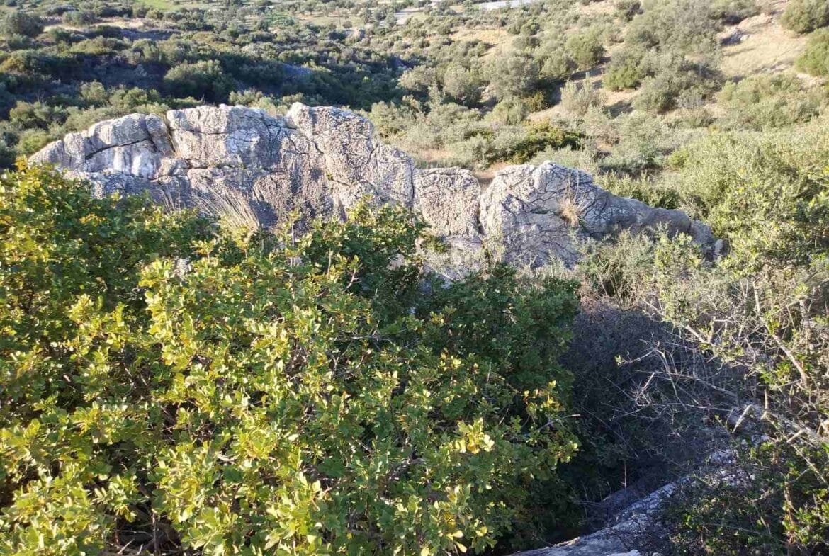 Plot of 3.600 sq.m. in the area of Agios Pavlos.