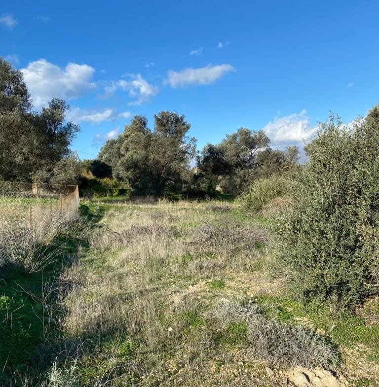 Plot of 1.000 sqm in Kamilari.