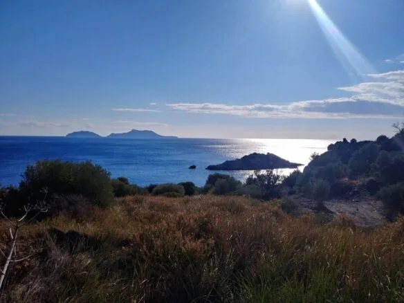 Plot of 4.000 sq.m. located right on the sea.