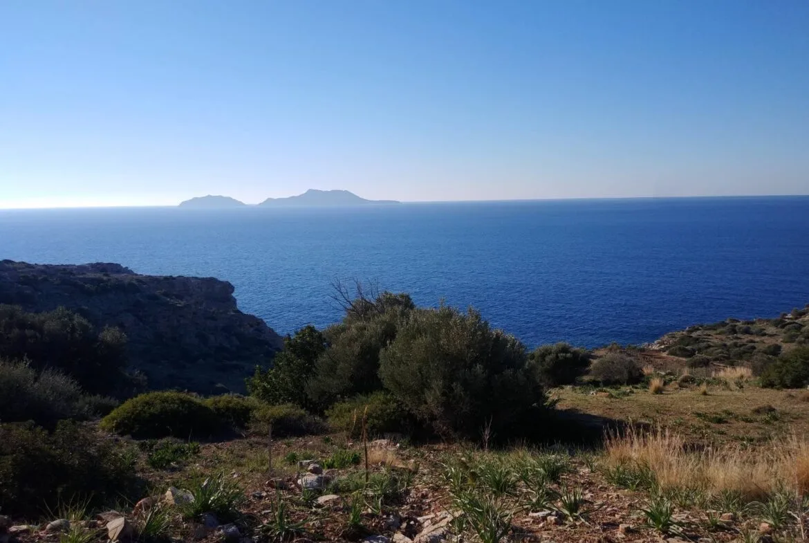 Huge plot of 11.600 sq.m. in the area of Agios Pavlos.