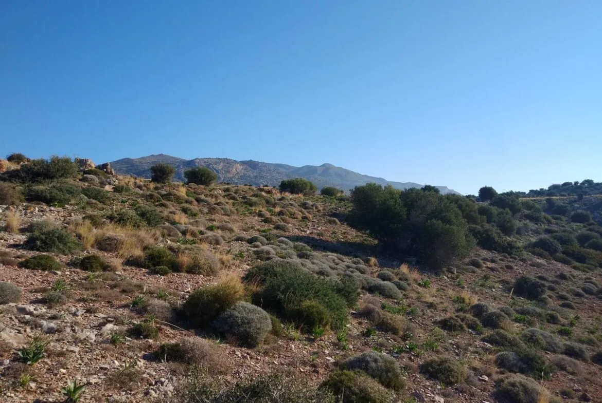 Huge plot of 11.600 sq.m. in the area of Agios Pavlos.