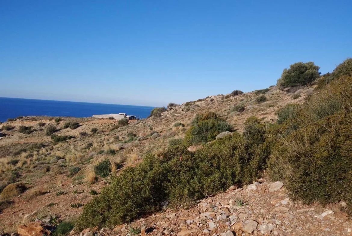Huge plot of 11.600 sq.m. in the area of Agios Pavlos.