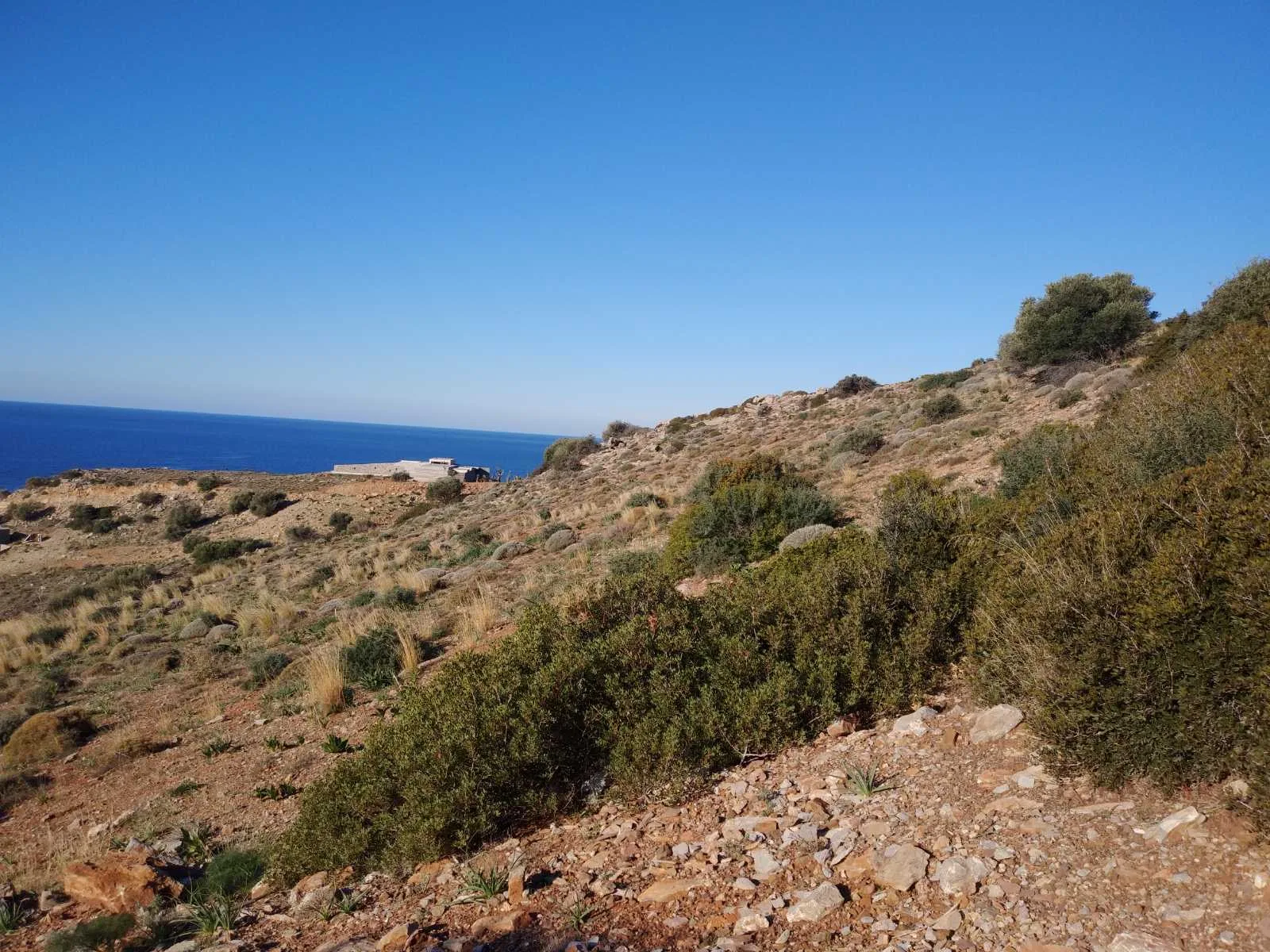 image00007 Huge plot of 11.600 sq.m. in the area of Agios Pavlos.