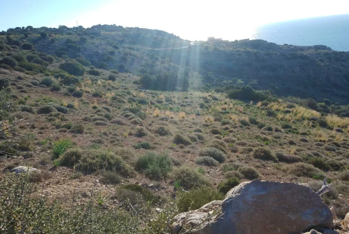 Huge plot of 11.600 sq.m. in the area of Agios Pavlos.