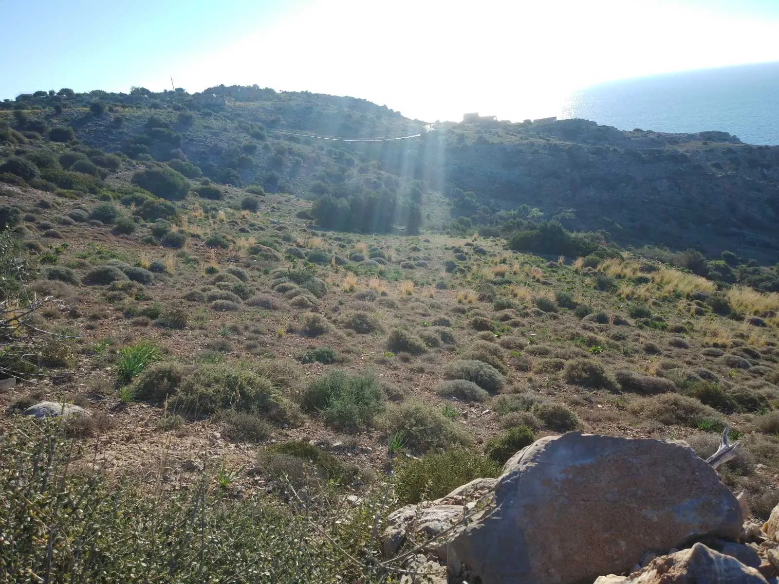 image00008 Huge plot of 11.600 sq.m. in the area of Agios Pavlos.