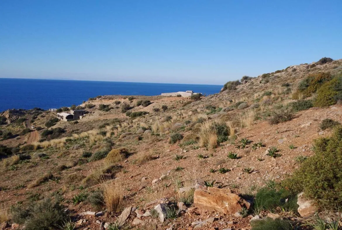 Huge plot of 11.600 sq.m. in the area of Agios Pavlos.