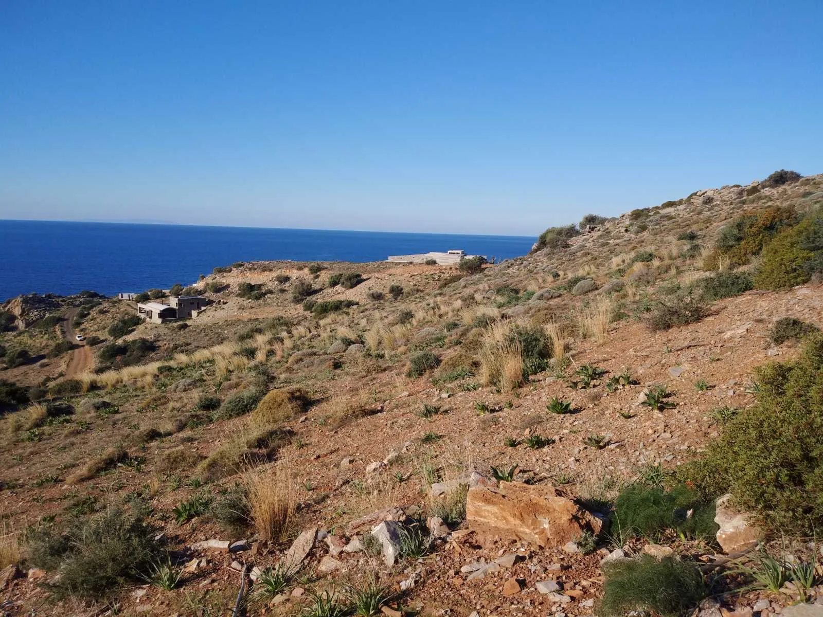 image00009 Huge plot of 11.600 sq.m. in the area of Agios Pavlos.