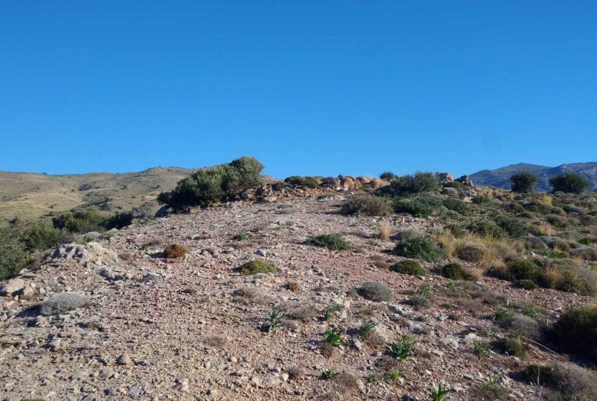 Huge plot of 11.600 sq.m. in the area of Agios Pavlos.