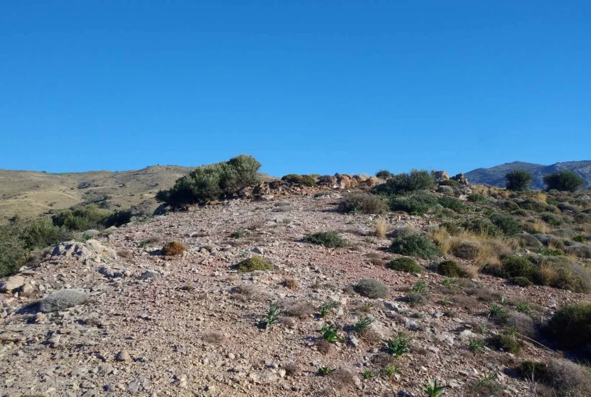 Huge plot of 11.600 sq.m. in the area of Agios Pavlos.