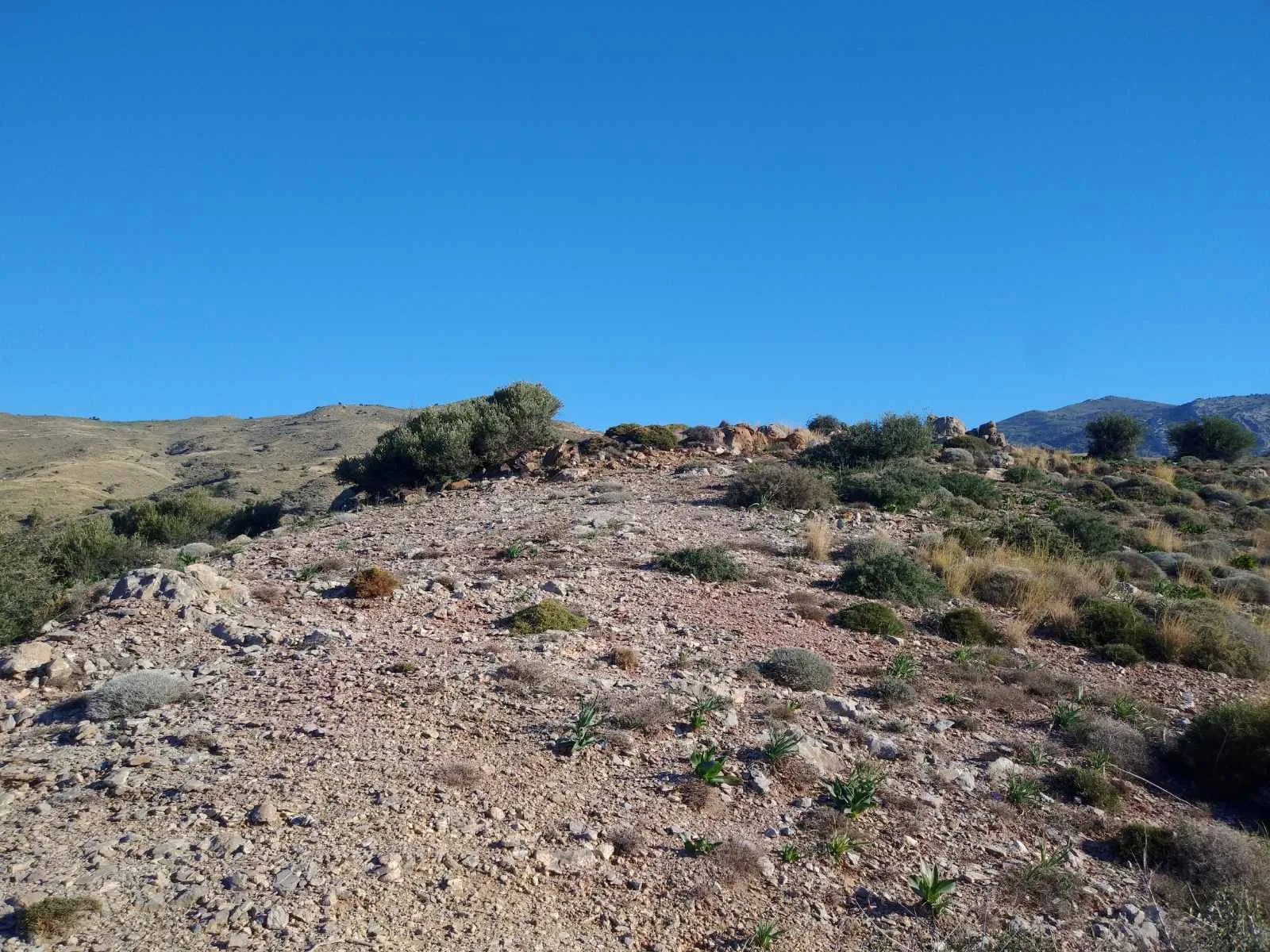 image00013 Huge plot of 11.600 sq.m. in the area of Agios Pavlos.
