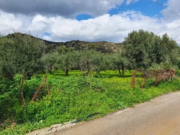 Plot of 6.569,60 sqm in Agia Galini.