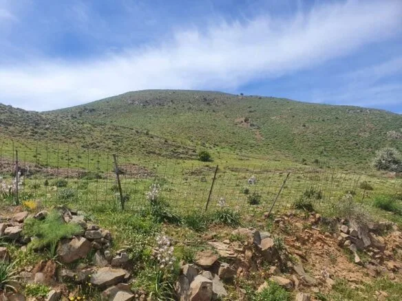 Land of 30.000 sq.m. in Melampes